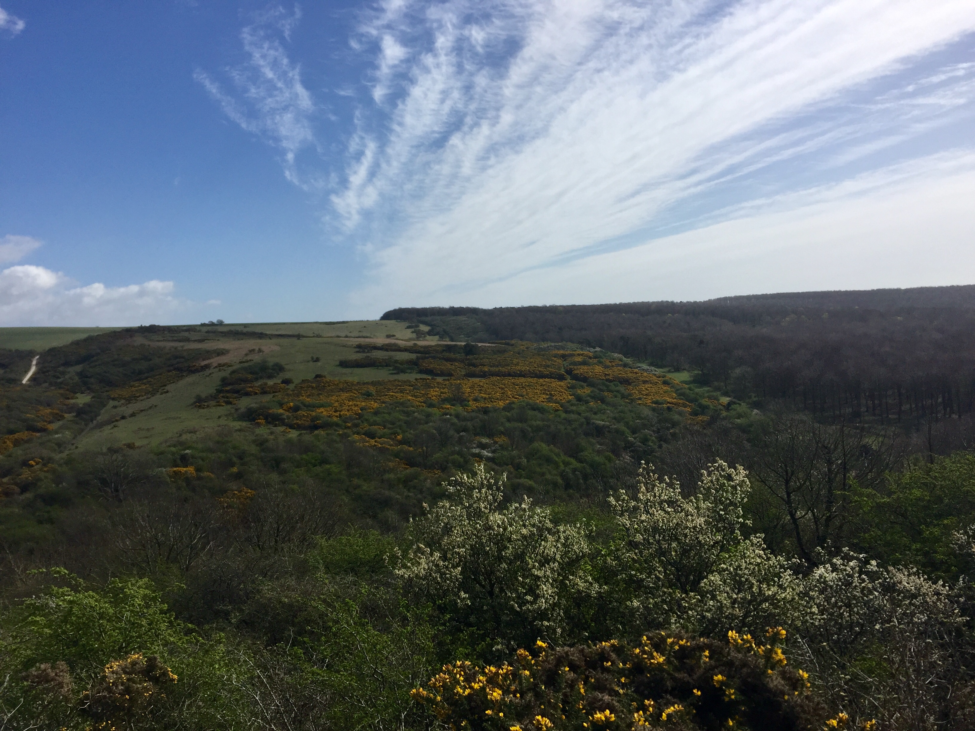 Friston